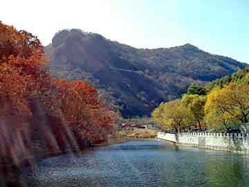 正版澳门天天开彩大全，山东羊驼养殖基地